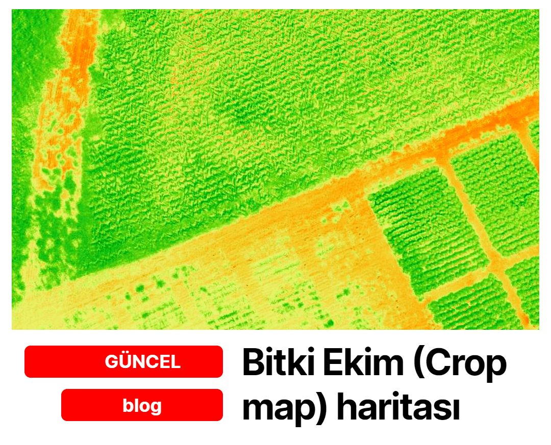 Drone Üzerinden Ekili Alan Tespiti için Bitki Ekim (Crop Map) Haritası